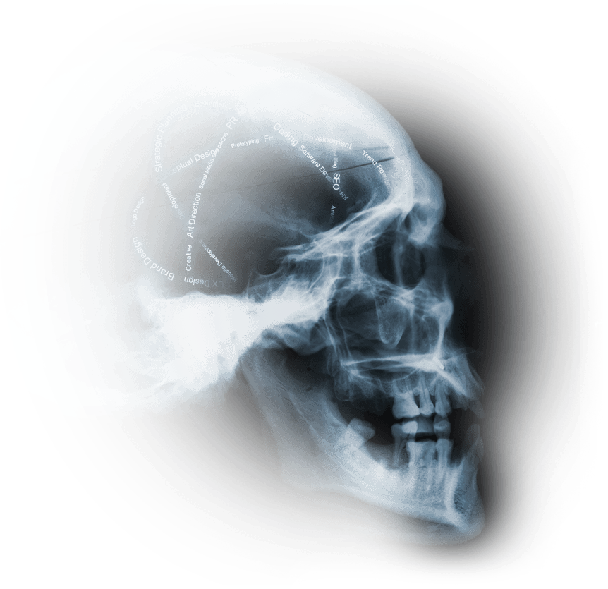 X-ray of a skull with digitalpaint's services written in an atom shape within the brain